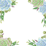 水彩花卉插画