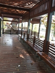 公园图片 风景 树木图