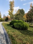 公园图片 风景 树木图