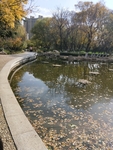 公园图片 风景 树木图