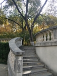 公园图片 风景 树木图