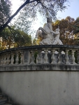 公园图片 风景 树木图