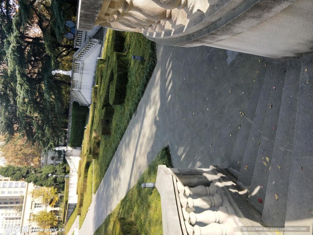 公园图片 风景 树木图