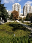 公园图片 风景 树木图