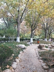 公园图片 风景 树木图