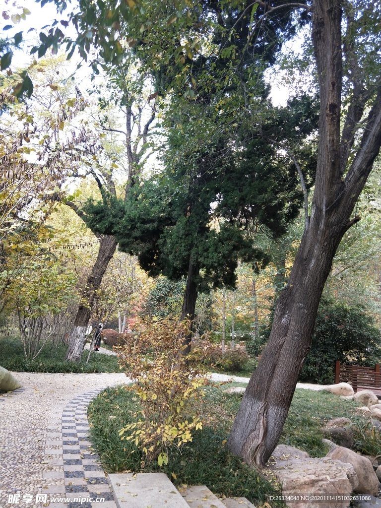 公园图片 风景 树木图