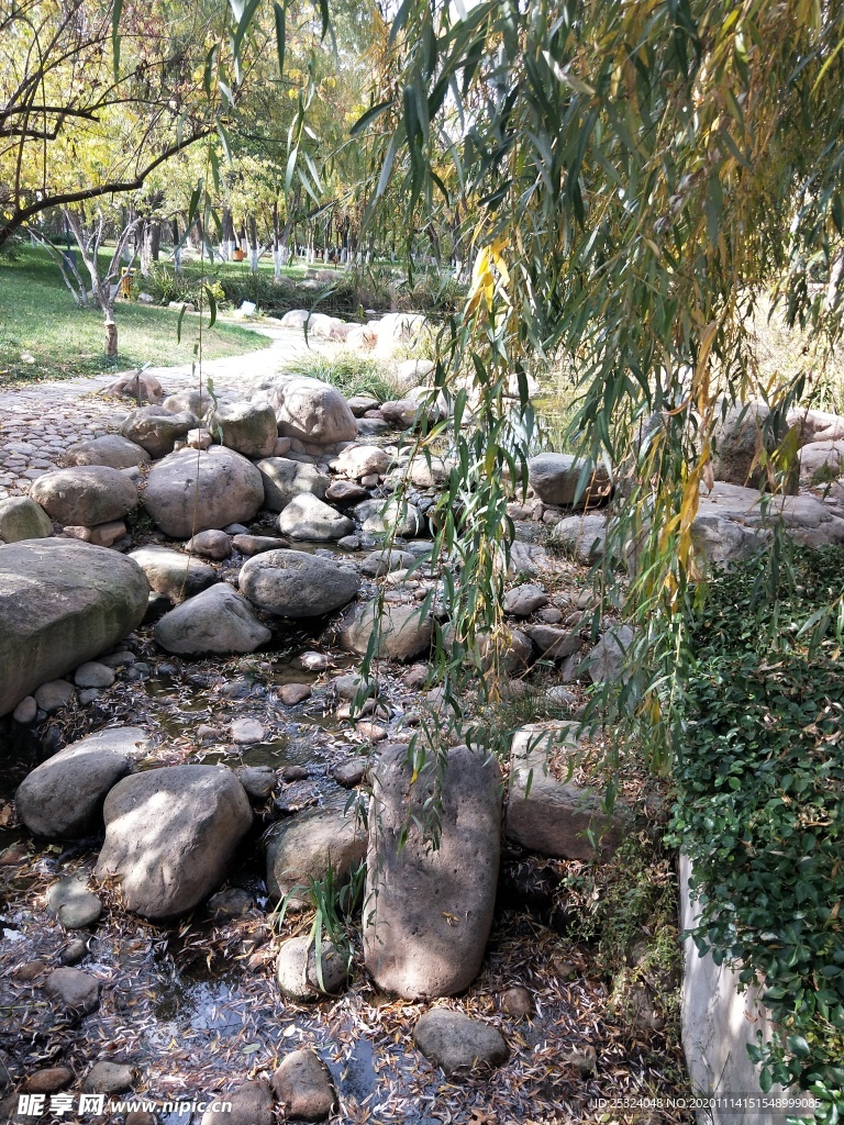 公园图片 树木图片