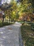 公园风景图片