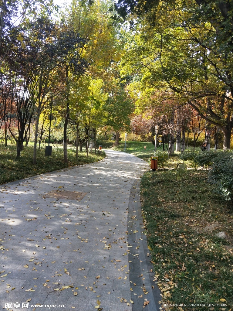 公园风景图片