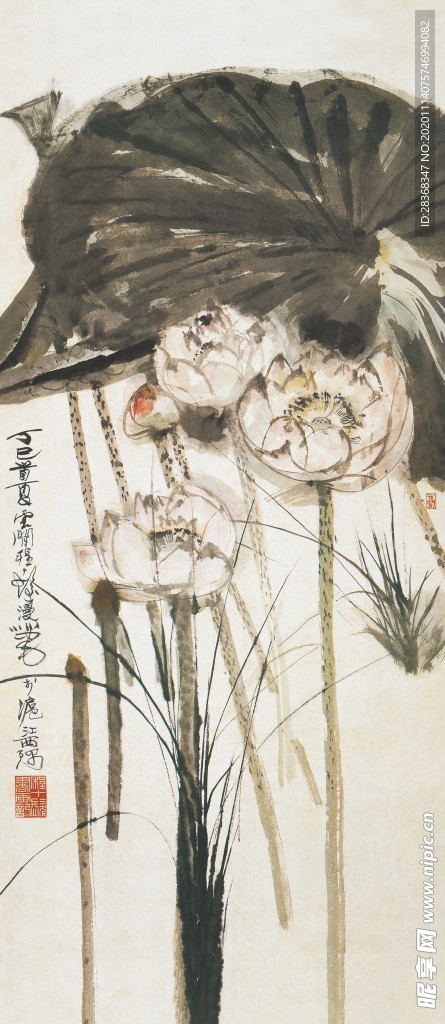 水墨荷花