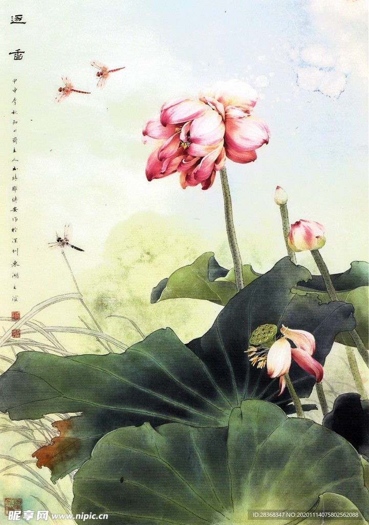 水墨荷花