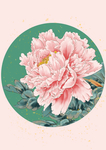 插画素材