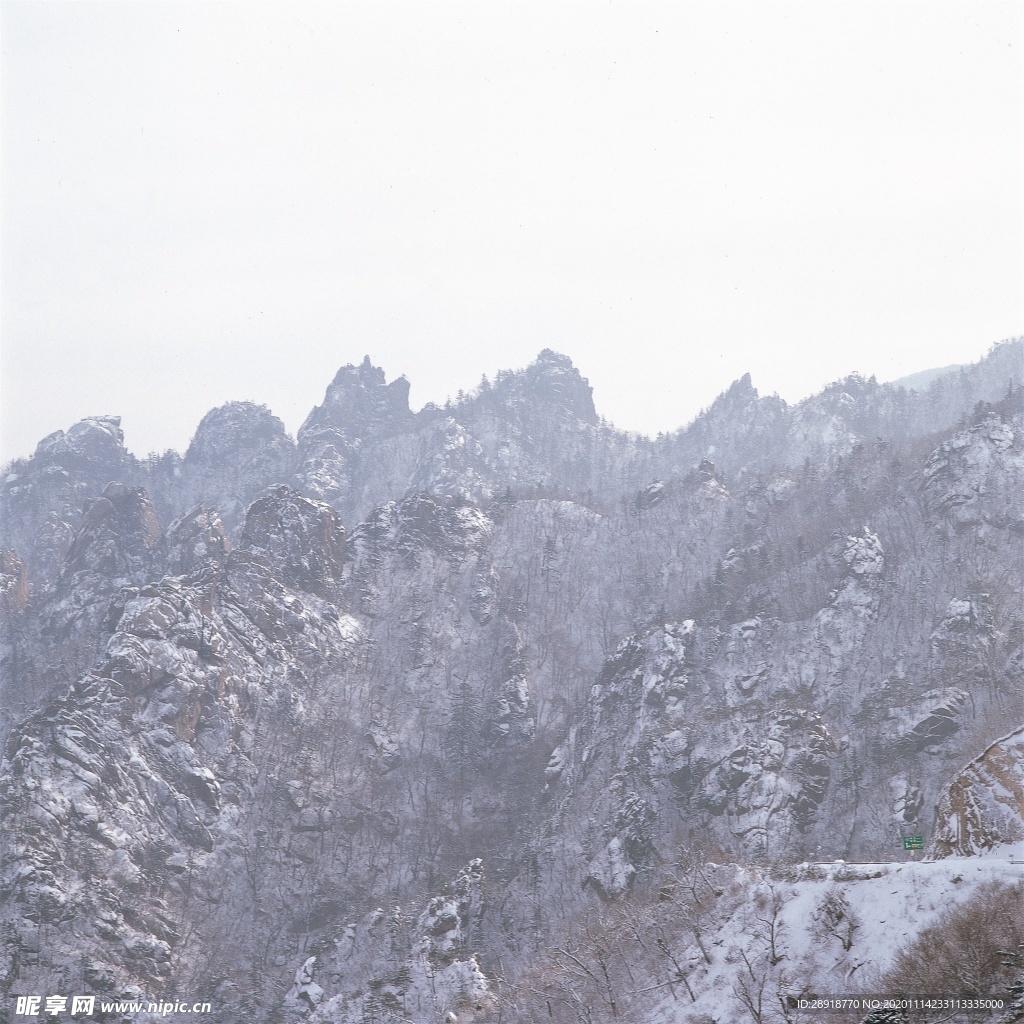 森林风景