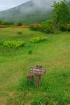 森林风景