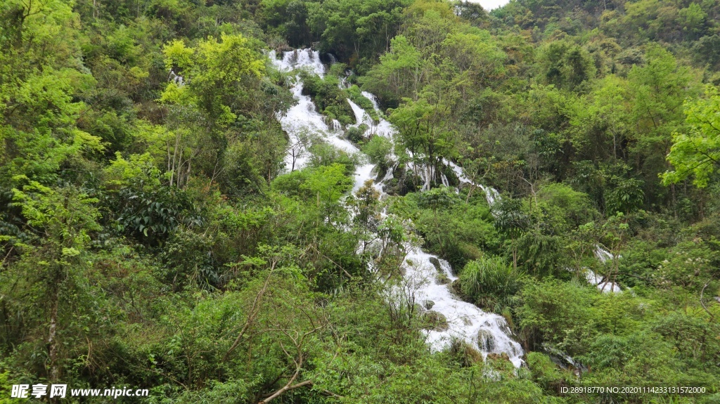 森林风景