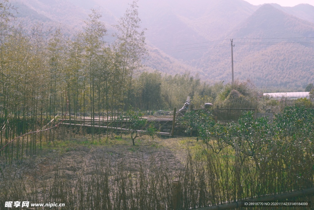 森林风景