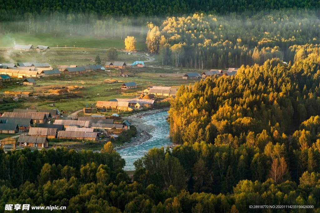 森林风景