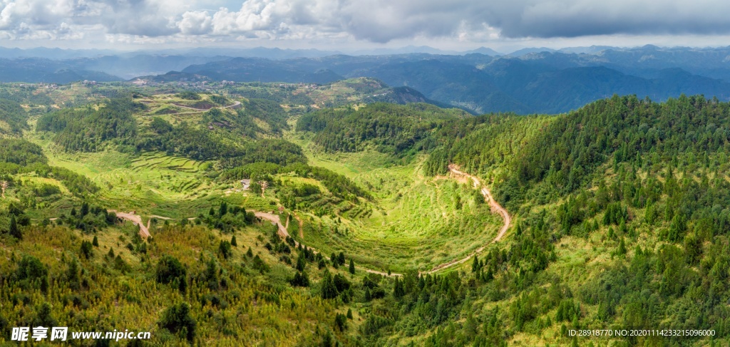 森林风景