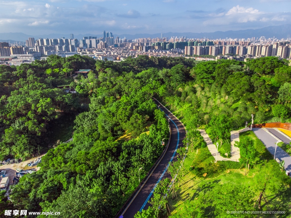 森林风景