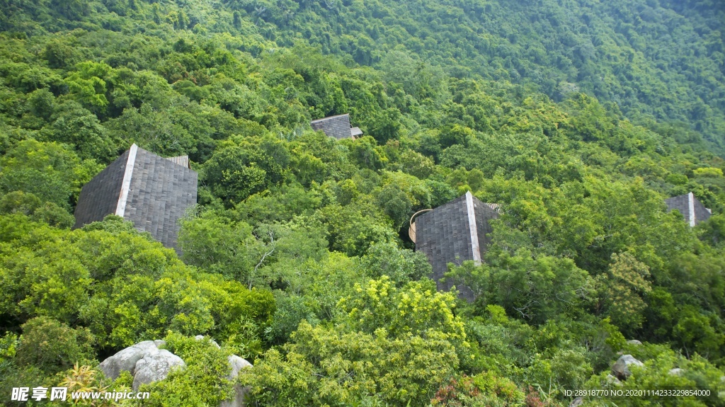 森林风景