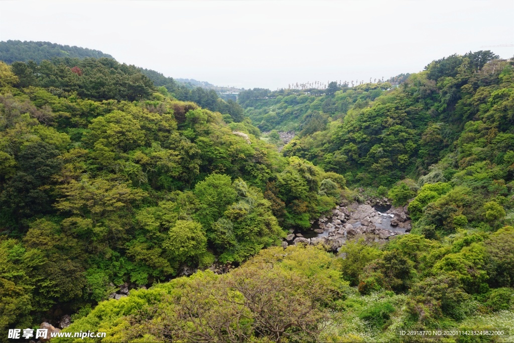 森林风景