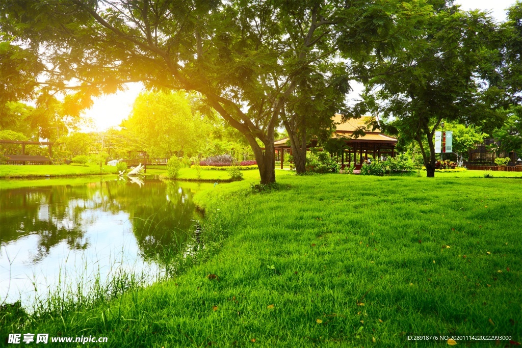 森林风景