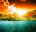 森林风景