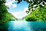 森林风景
