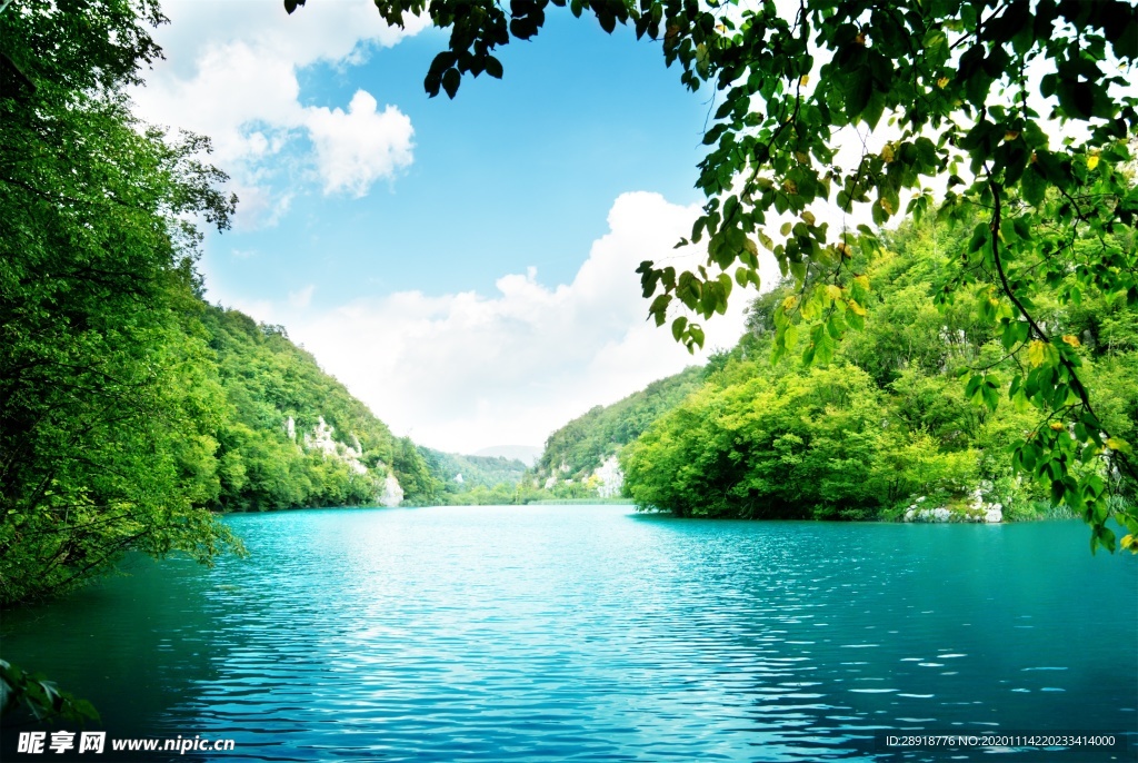 森林风景