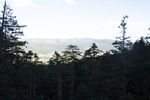 森林风景