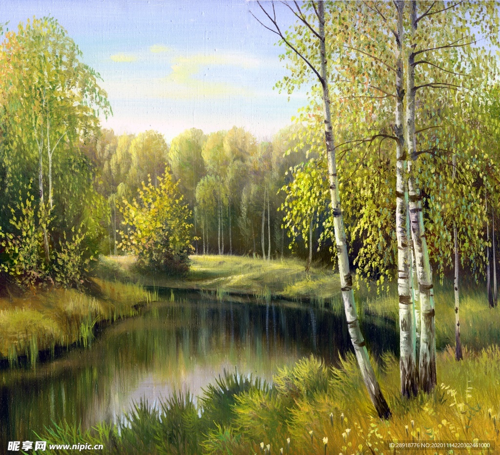 森林风景