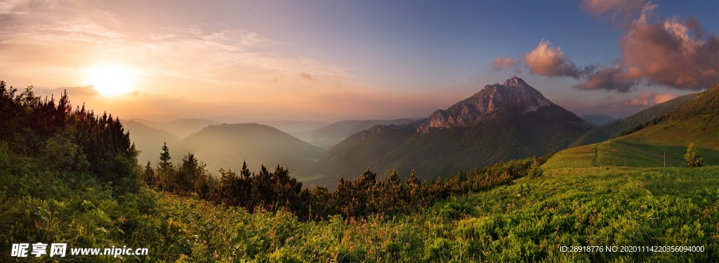 森林风景
