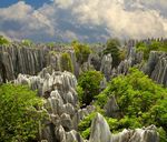 森林风景