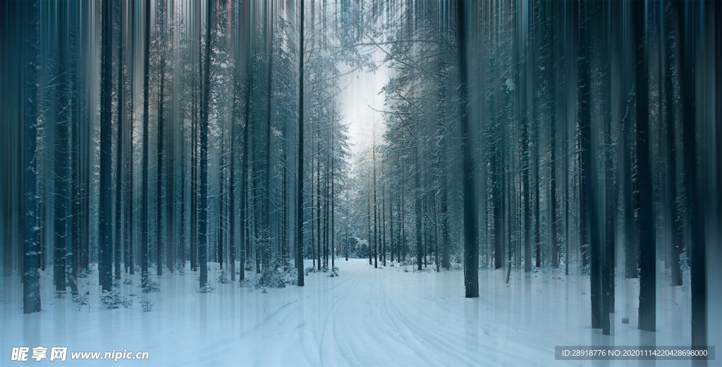 森林风景