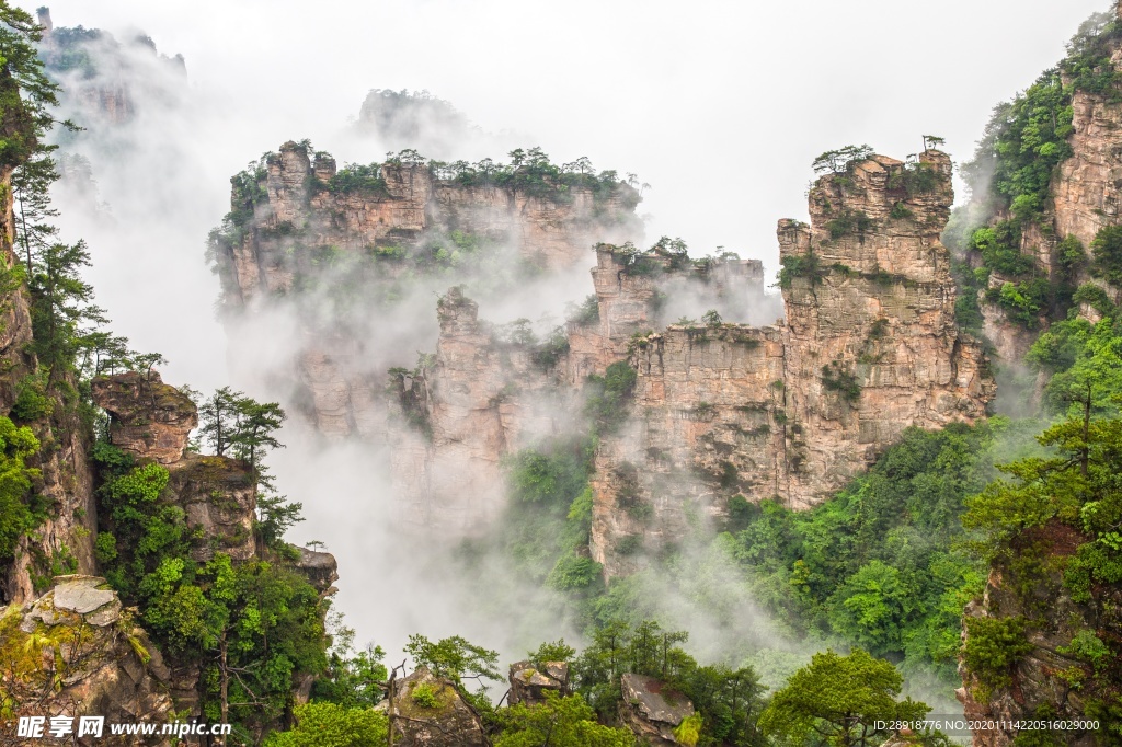 森林风景