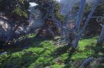 森林风景