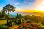 森林风景