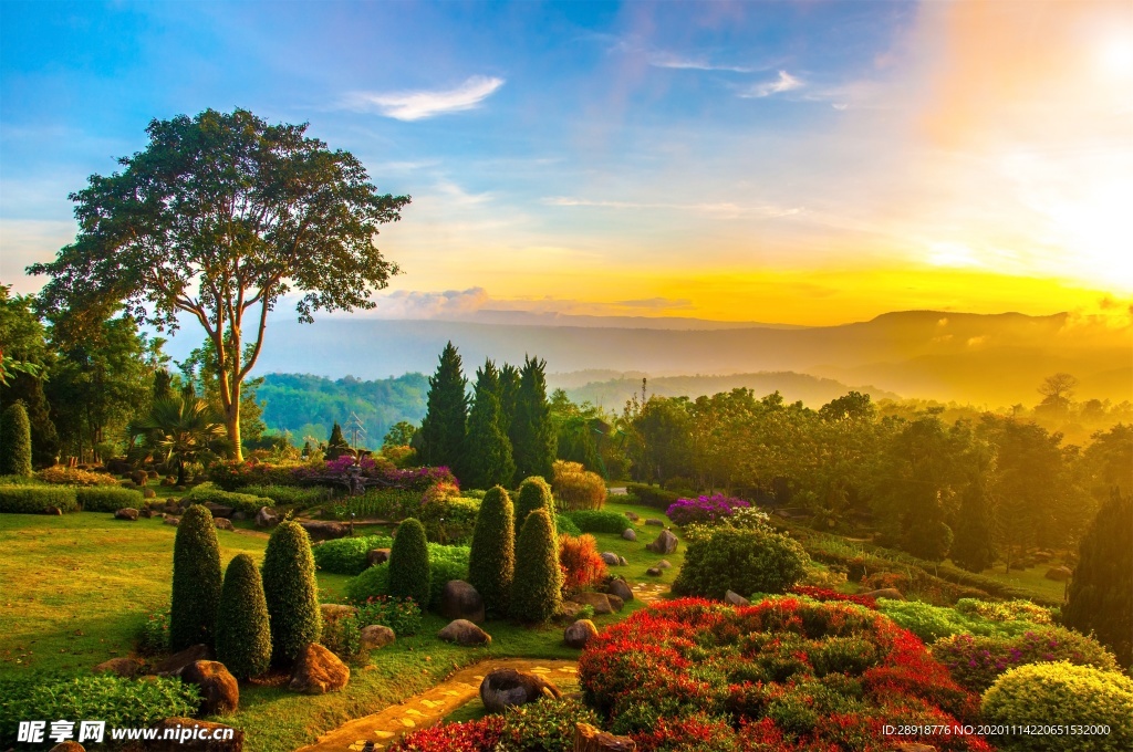 森林风景
