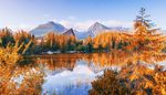 森林风景