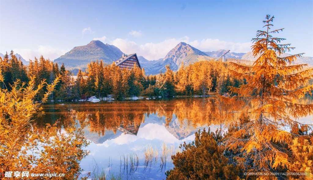 森林风景