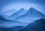 森林风景