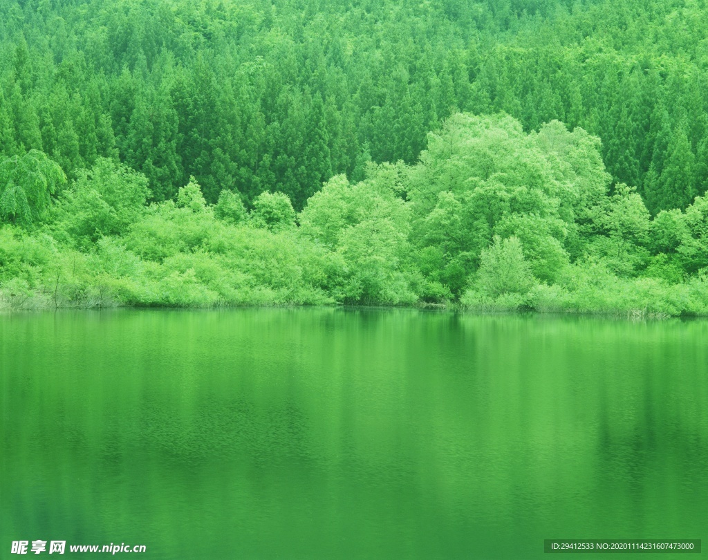 森林风景