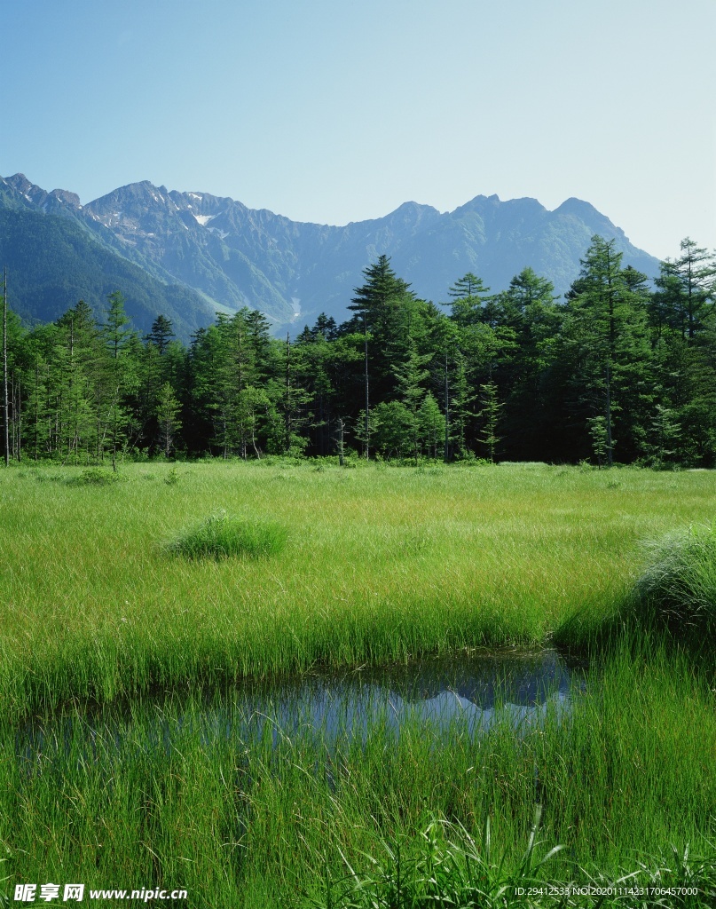 森林风景