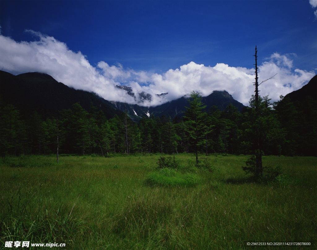 森林风景