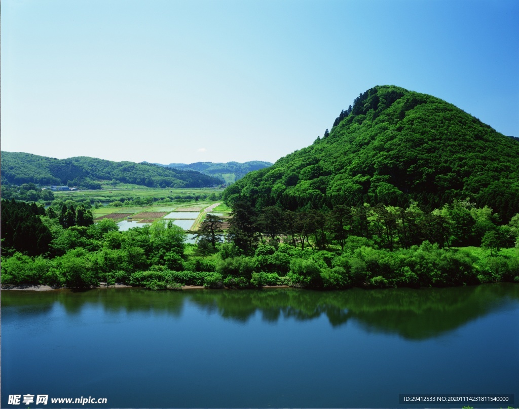 森林风景