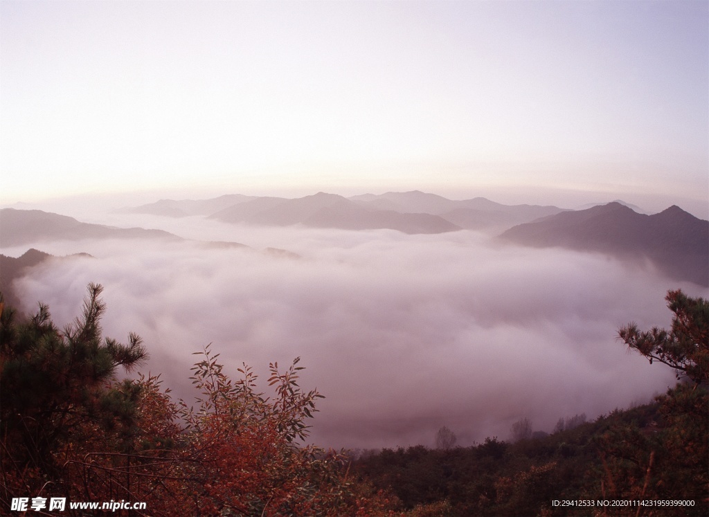 森林风景