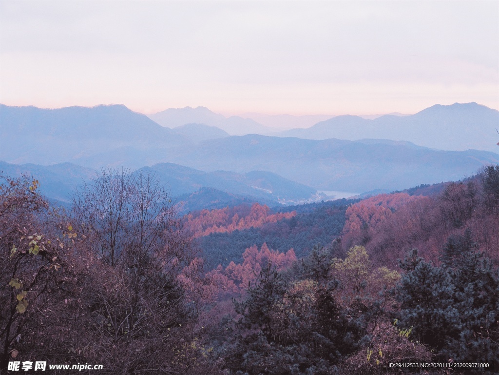 森林风景