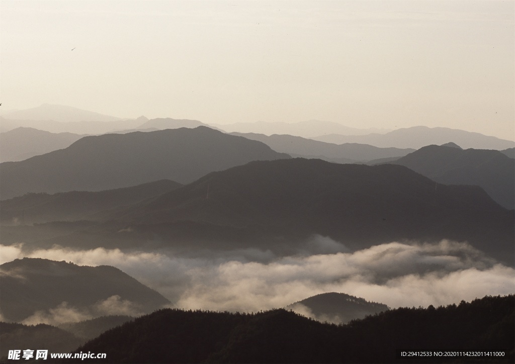 森林风景