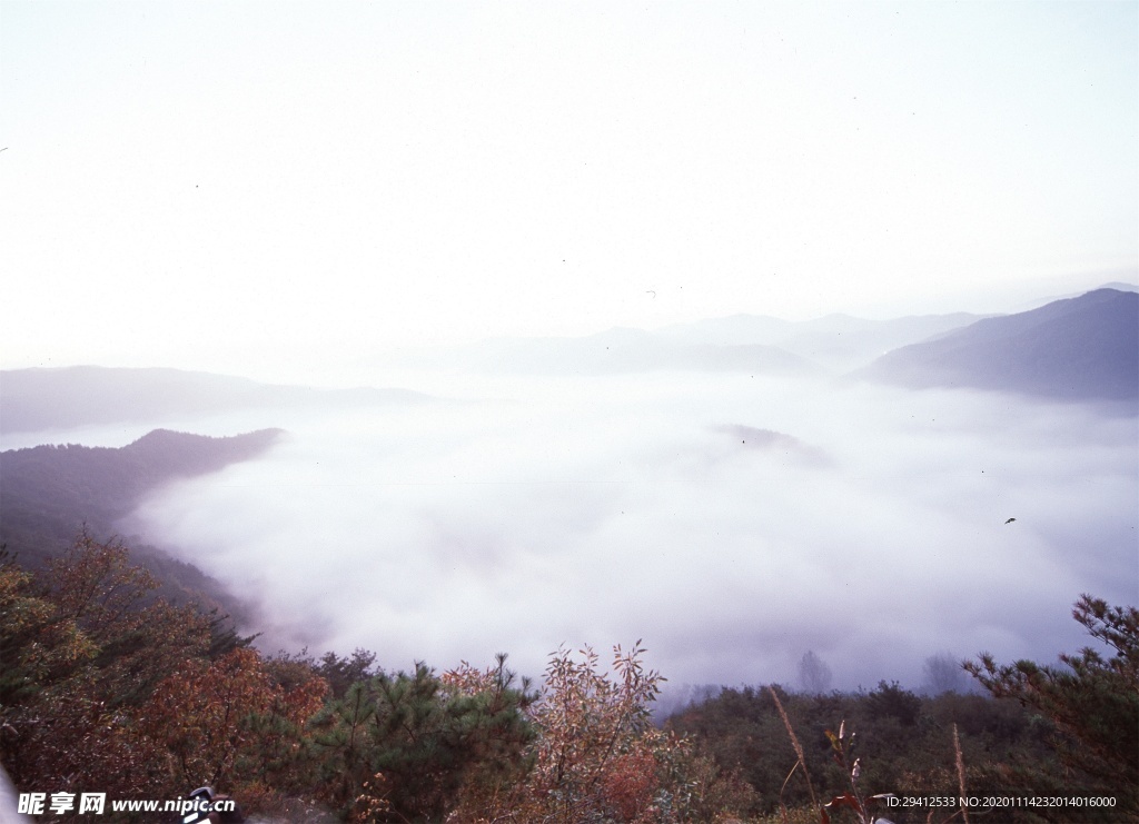 森林风景