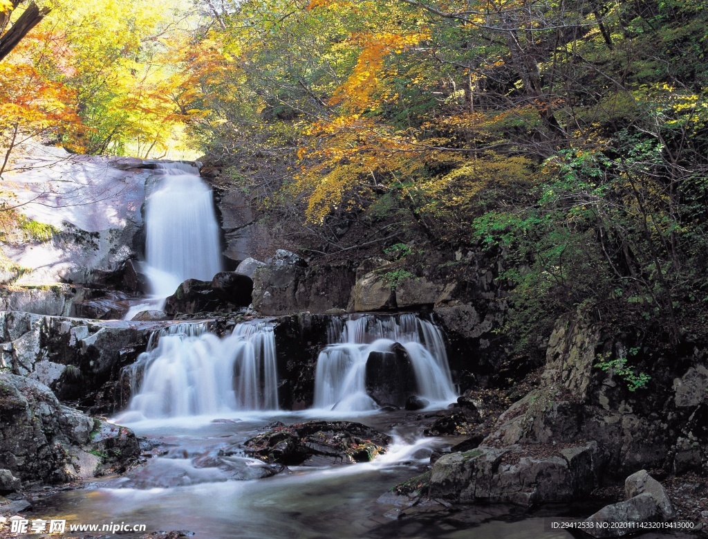 森林风景